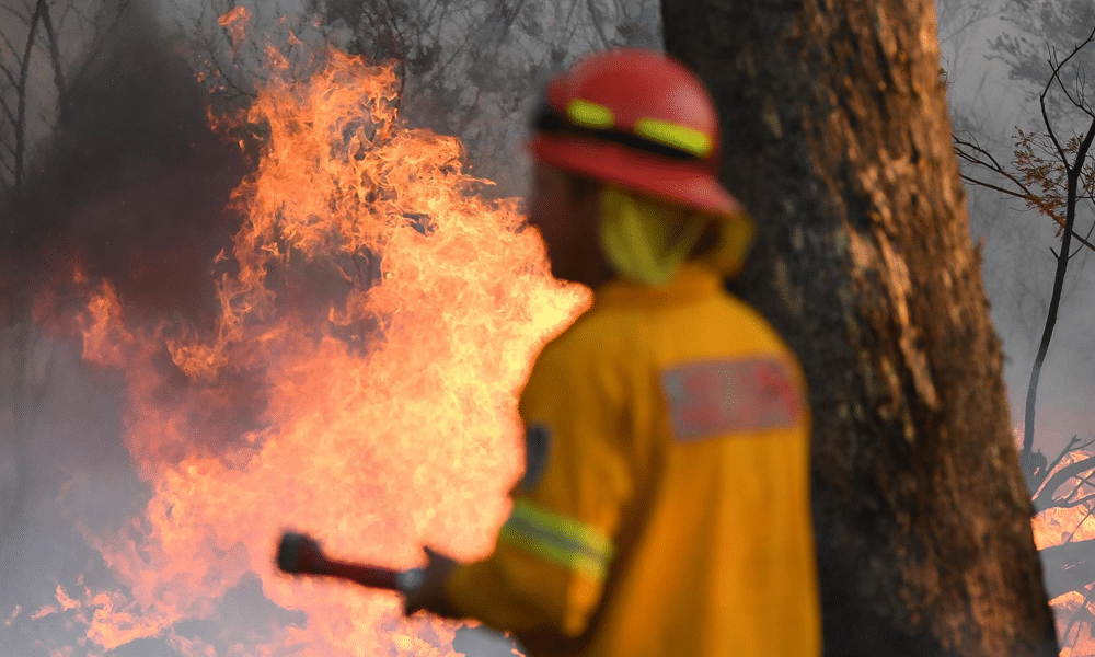 https://www.hartpartners.com.au/wp-content/uploads/2019/12/HartPartners-BUSHFIRE-ASSISTANCE-1.png