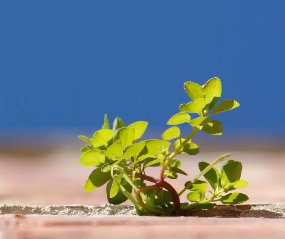 5 Ways to Overcome Economic Uncertainty | Hart Partners